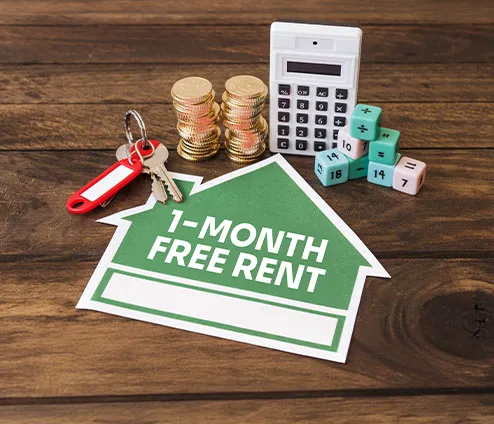Discount Rent Winner Apartment Wolf