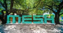 Mesh