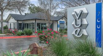 The Vue