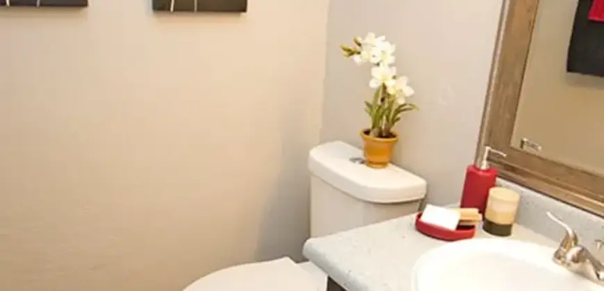 Adelita