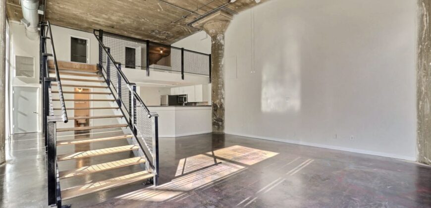 Adam Hats Lofts
