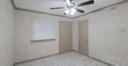 Ambassador