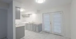 Ambassador