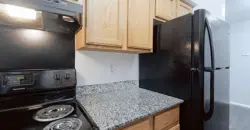 Ambassador