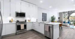 1155 Barton Springs