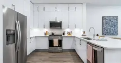 1155 Barton Springs