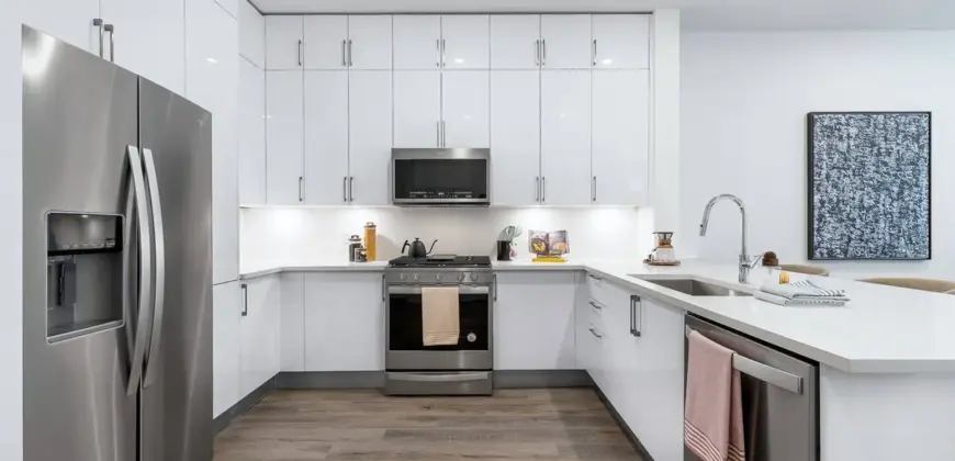 1155 Barton Springs