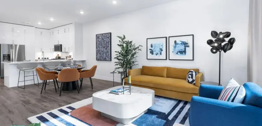 1155 Barton Springs