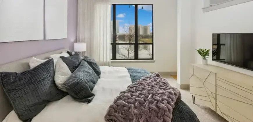 AMLI Las Colinas