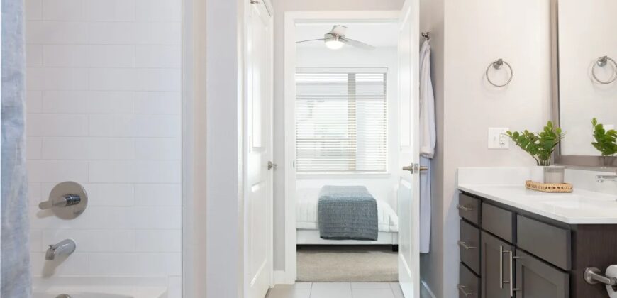 AVE Austin North Lamar