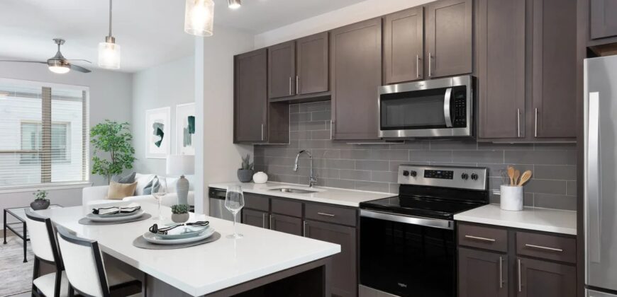 AVE Austin North Lamar