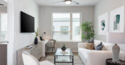 AVE Austin North Lamar