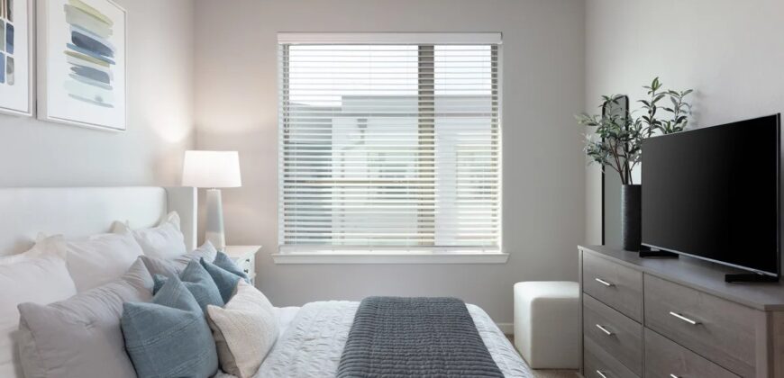 AVE Austin North Lamar