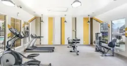 Acclaim At South Congress