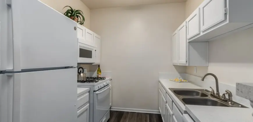 Acclaim At South Congress