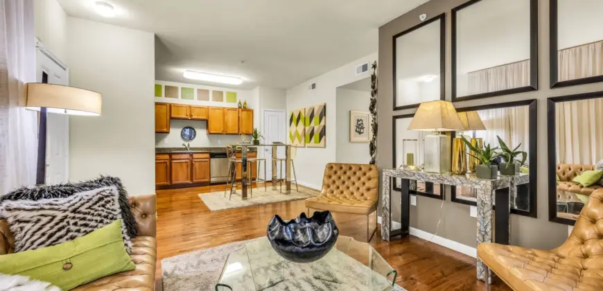 Agave At South Congress