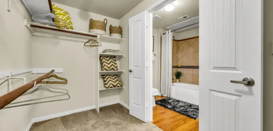 Agave At South Congress