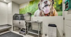 Agave At South Congress