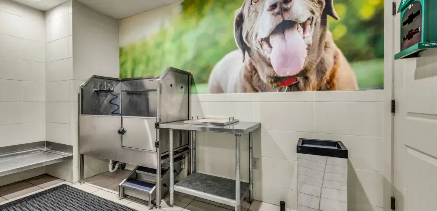 Agave At South Congress