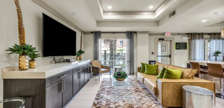 Agave At South Congress