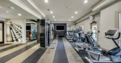 Agave At South Congress