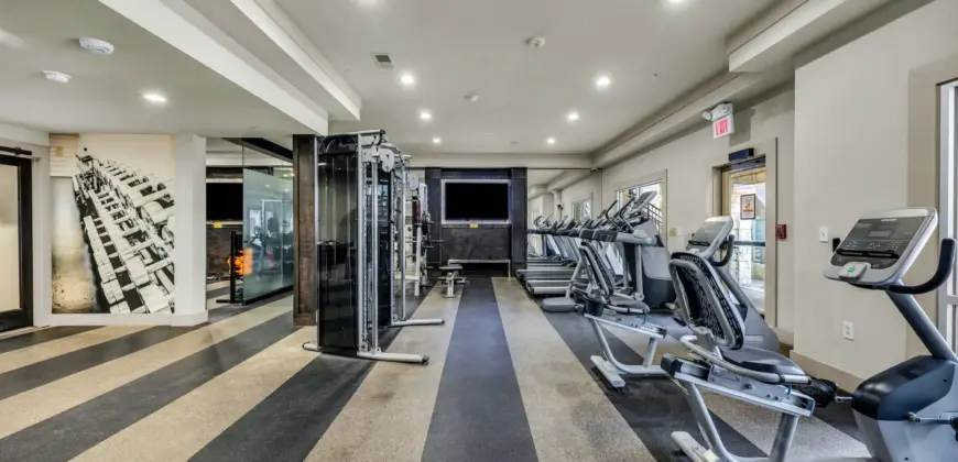 Agave At South Congress