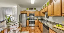 Agave At South Congress