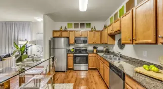 Agave At South Congress