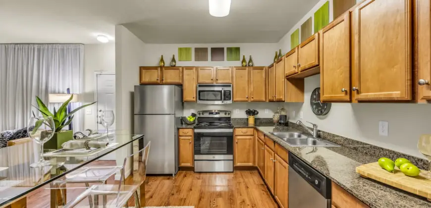 Agave At South Congress