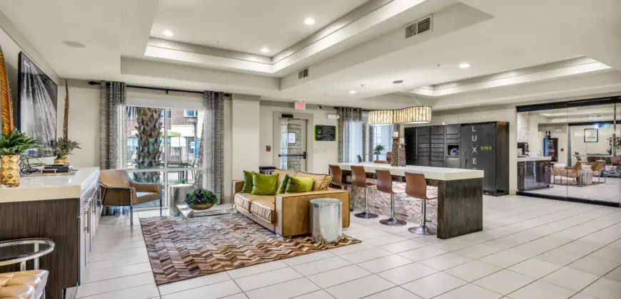 Agave At South Congress