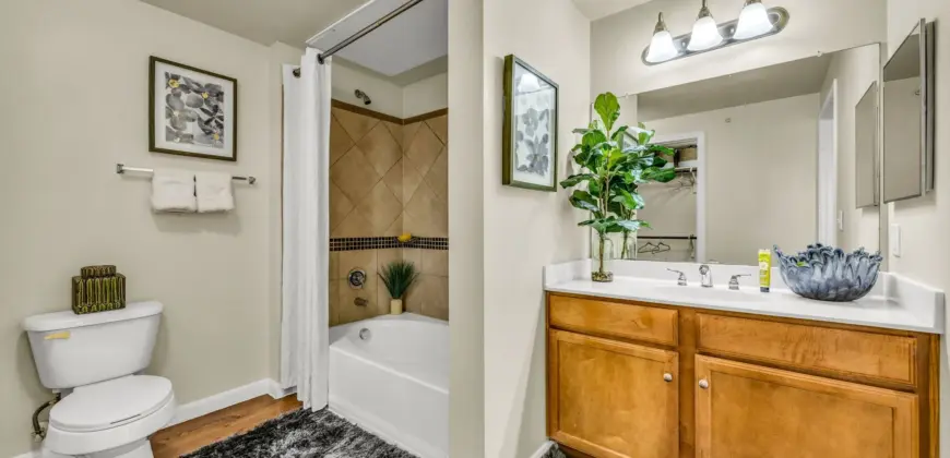 Agave At South Congress