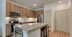 Alamo Residences At Spurs Lane