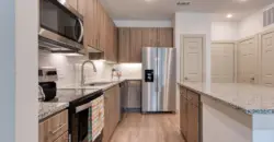 Alamo Residences At Spurs Lane