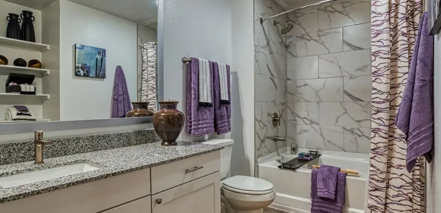 Alexan Braker Pointe