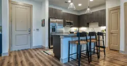 Alexan Braker Pointe