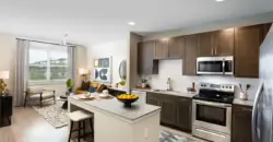 Allora Cinco Ranch