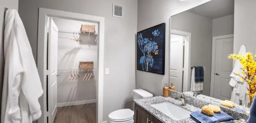 Allora Cinco Ranch