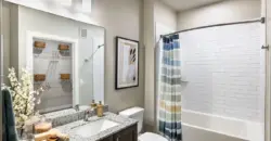 Allora Cinco Ranch