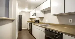 Amber Vista