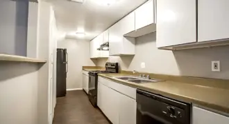 Amber Vista
