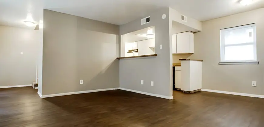 Amber Vista