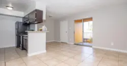 Amir
