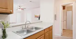 Arbors Of Wells Branch