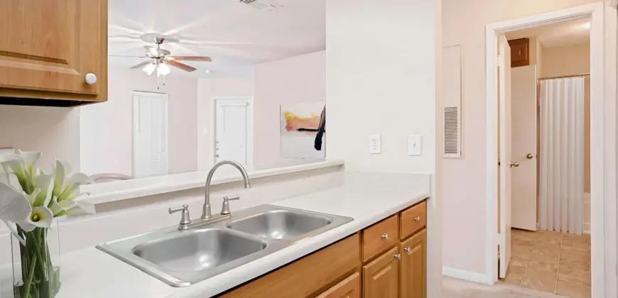 Arbors Of Wells Branch