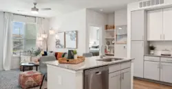 Ascend Ventana Lakes