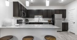 Aspire At Onion Creek