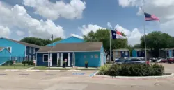 Aster On Aldine