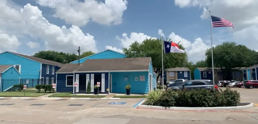 Aster On Aldine