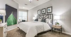 Atlantic Stone Oak