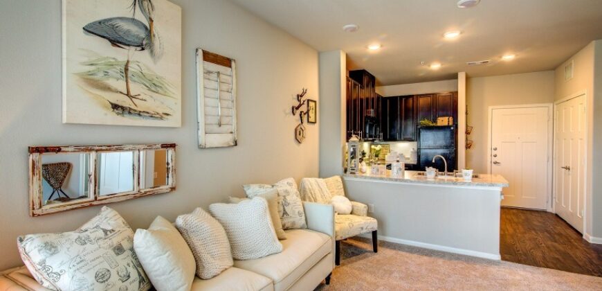 Austin Waters At Tech Ridge